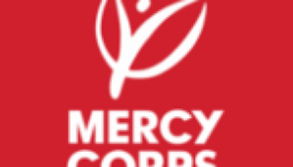 Team Lead – Urban Resilience, Harare, Zimbabwe – Job Ref. ZW/MC/2905/2502